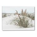 Picture of Sand Dunes _GroupedProduct_Rectangle_Landscape_Photography _GroupedProduct_Rectangle_Landscape_Canvas_