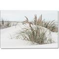 Picture of Sand Dunes _GroupedProduct_Rectangle_Landscape_Photography _GroupedProduct_Rectangle_Landscape_Canvas_