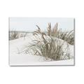 Picture of Sand Dunes _GroupedProduct_Rectangle_Landscape_Photography _GroupedProduct_Rectangle_Landscape_Canvas_