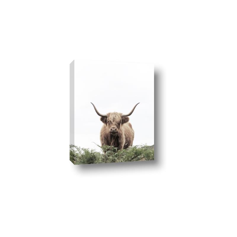 Picture of Cow on the Range _GroupedProduct_Rectangle_Portrait_Photography _GroupedProduct_Rectangle_Portrait_Canvas_