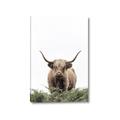 Picture of Cow on the Range _GroupedProduct_Rectangle_Portrait_Photography _GroupedProduct_Rectangle_Portrait_Canvas_