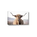 Picture of Shaggy Bull II _GroupedProduct_Rectangle_Landscape_Photography _GroupedProduct_Rectangle_Landscape_Canvas_