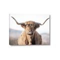 Picture of Shaggy Bull II _GroupedProduct_Rectangle_Landscape_Photography _GroupedProduct_Rectangle_Landscape_Canvas_