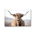 Picture of Shaggy Bull II _GroupedProduct_Rectangle_Landscape_Photography _GroupedProduct_Rectangle_Landscape_Canvas_