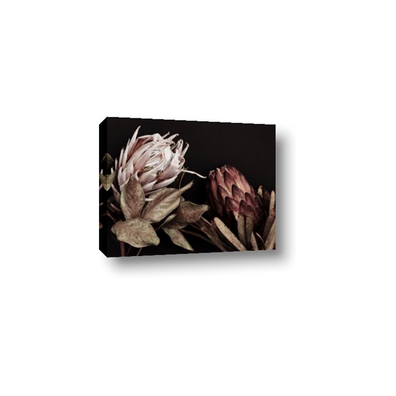 Picture of Beautiful Blooms _GroupedProduct_Rectangle_Landscape_Photography _GroupedProduct_Rectangle_Landscape_Canvas_