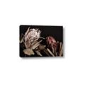 Picture of Beautiful Blooms _GroupedProduct_Rectangle_Landscape_Photography _GroupedProduct_Rectangle_Landscape_Canvas_