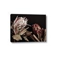 Picture of Beautiful Blooms _GroupedProduct_Rectangle_Landscape_Photography _GroupedProduct_Rectangle_Landscape_Canvas_