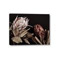 Picture of Beautiful Blooms _GroupedProduct_Rectangle_Landscape_Photography _GroupedProduct_Rectangle_Landscape_Canvas_