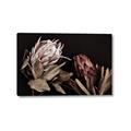 Picture of Beautiful Blooms _GroupedProduct_Rectangle_Landscape_Photography _GroupedProduct_Rectangle_Landscape_Canvas_