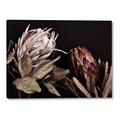 Picture of Beautiful Blooms _GroupedProduct_Rectangle_Landscape_Photography _GroupedProduct_Rectangle_Landscape_Canvas_