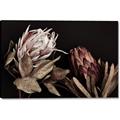 Picture of Beautiful Blooms _GroupedProduct_Rectangle_Landscape_Photography _GroupedProduct_Rectangle_Landscape_Canvas_