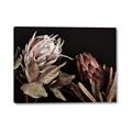 Picture of Beautiful Blooms _GroupedProduct_Rectangle_Landscape_Photography _GroupedProduct_Rectangle_Landscape_Canvas_