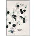 Picture of Watercolor Leaves I _GroupedProduct_Rectangle_Portrait_Canvas_Framed_