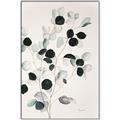 Picture of Watercolor Leaves I _GroupedProduct_Rectangle_Portrait_Canvas_Framed_