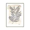 Picture of Antiqued Leaves II _GroupedProduct_Rectangle_Portrait_Canvas_Framed_