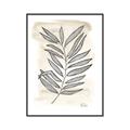 Picture of Antiqued Leaves II _GroupedProduct_Rectangle_Portrait_Canvas_Framed_