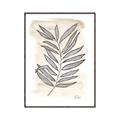 Picture of Antiqued Leaves II _GroupedProduct_Rectangle_Portrait_Canvas_Framed_