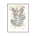 Picture of Antiqued Leaves II _GroupedProduct_Rectangle_Portrait_Canvas_Framed_