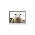 Picture of Sheepily _GroupedProduct_Rectangle_Landscape_Photography _GroupedProduct_Rectangle_Landscape_Canvas_Framed_