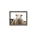 Picture of Sheepily _GroupedProduct_Rectangle_Landscape_Photography _GroupedProduct_Rectangle_Landscape_Canvas_Framed_