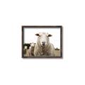 Picture of Sheepily _GroupedProduct_Rectangle_Landscape_Photography _GroupedProduct_Rectangle_Landscape_Canvas_Framed_