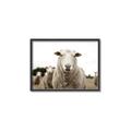 Picture of Sheepily _GroupedProduct_Rectangle_Landscape_Photography _GroupedProduct_Rectangle_Landscape_Canvas_Framed_