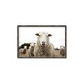 Picture of Sheepily _GroupedProduct_Rectangle_Landscape_Photography _GroupedProduct_Rectangle_Landscape_Canvas_Framed_