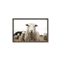 Picture of Sheepily _GroupedProduct_Rectangle_Landscape_Photography _GroupedProduct_Rectangle_Landscape_Canvas_Framed_