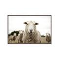 Picture of Sheepily _GroupedProduct_Rectangle_Landscape_Photography _GroupedProduct_Rectangle_Landscape_Canvas_Framed_