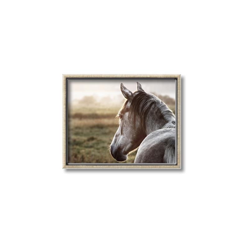 Picture of Horse & the Horizon _GroupedProduct_Rectangle_Landscape_Photography _GroupedProduct_Rectangle_Landscape_Canvas_Framed_