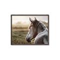 Picture of Horse & the Horizon _GroupedProduct_Rectangle_Landscape_Photography _GroupedProduct_Rectangle_Landscape_Canvas_Framed_