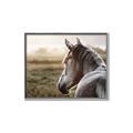 Picture of Horse & the Horizon _GroupedProduct_Rectangle_Landscape_Photography _GroupedProduct_Rectangle_Landscape_Canvas_Framed_