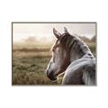 Picture of Horse & the Horizon _GroupedProduct_Rectangle_Landscape_Photography _GroupedProduct_Rectangle_Landscape_Canvas_Framed_