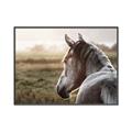 Picture of Horse & the Horizon _GroupedProduct_Rectangle_Landscape_Photography _GroupedProduct_Rectangle_Landscape_Canvas_Framed_