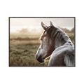 Picture of Horse & the Horizon _GroupedProduct_Rectangle_Landscape_Photography _GroupedProduct_Rectangle_Landscape_Canvas_Framed_
