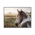 Picture of Horse & the Horizon _GroupedProduct_Rectangle_Landscape_Photography _GroupedProduct_Rectangle_Landscape_Canvas_Framed_