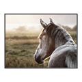 Picture of Horse & the Horizon _GroupedProduct_Rectangle_Landscape_Photography _GroupedProduct_Rectangle_Landscape_Canvas_Framed_