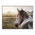 Picture of Horse & the Horizon _GroupedProduct_Rectangle_Landscape_Photography _GroupedProduct_Rectangle_Landscape_Canvas_Framed_