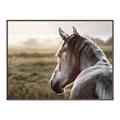Picture of Horse & the Horizon _GroupedProduct_Rectangle_Landscape_Photography _GroupedProduct_Rectangle_Landscape_Canvas_Framed_