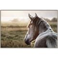 Picture of Horse & the Horizon _GroupedProduct_Rectangle_Landscape_Photography _GroupedProduct_Rectangle_Landscape_Canvas_Framed_