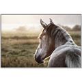 Picture of Horse & the Horizon _GroupedProduct_Rectangle_Landscape_Photography _GroupedProduct_Rectangle_Landscape_Canvas_Framed_