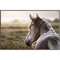 Picture of Horse & the Horizon _GroupedProduct_Rectangle_Landscape_Photography _GroupedProduct_Rectangle_Landscape_Canvas_Framed_