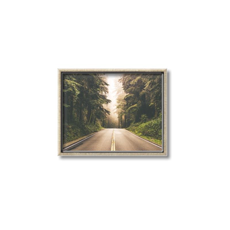 Picture of Foggy Straight Redwood Highway _GroupedProduct_Rectangle_Landscape_Photography _GroupedProduct_Rectangle_Landscape_Canvas_Framed_