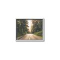 Picture of Foggy Straight Redwood Highway _GroupedProduct_Rectangle_Landscape_Photography _GroupedProduct_Rectangle_Landscape_Canvas_Framed_