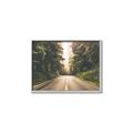 Picture of Foggy Straight Redwood Highway _GroupedProduct_Rectangle_Landscape_Photography _GroupedProduct_Rectangle_Landscape_Canvas_Framed_