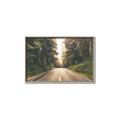 Picture of Foggy Straight Redwood Highway _GroupedProduct_Rectangle_Landscape_Photography _GroupedProduct_Rectangle_Landscape_Canvas_Framed_