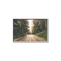 Picture of Foggy Straight Redwood Highway _GroupedProduct_Rectangle_Landscape_Photography _GroupedProduct_Rectangle_Landscape_Canvas_Framed_