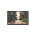 Picture of Foggy Straight Redwood Highway _GroupedProduct_Rectangle_Landscape_Photography _GroupedProduct_Rectangle_Landscape_Canvas_Framed_