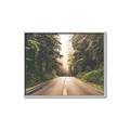 Picture of Foggy Straight Redwood Highway _GroupedProduct_Rectangle_Landscape_Photography _GroupedProduct_Rectangle_Landscape_Canvas_Framed_