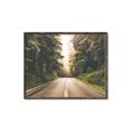 Picture of Foggy Straight Redwood Highway _GroupedProduct_Rectangle_Landscape_Photography _GroupedProduct_Rectangle_Landscape_Canvas_Framed_
